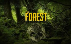 森林之子/Sons Of The Forest