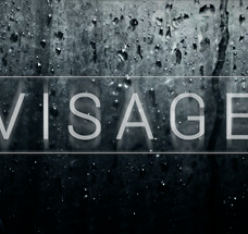 面容/Visage
