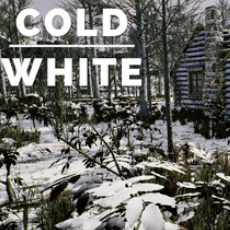 冷白/The Cold White