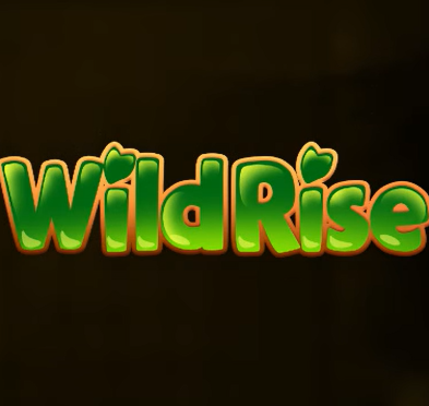 荒野新生/Wildrise