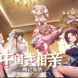 中国式相亲/Matchmaking Inc