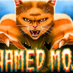 莫哈维之猫/Cat Named Mojave