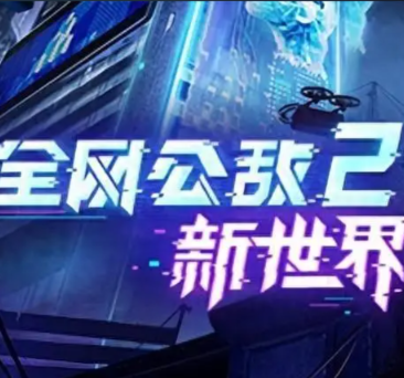 全网公敌2：新世界/Cyber Manhunt 2